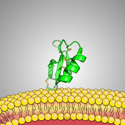 Cover image for research topic "Community Series in Antimicrobial Peptides: Molecular Design, Structure Function Relationship and Biosynthesis Optimization"