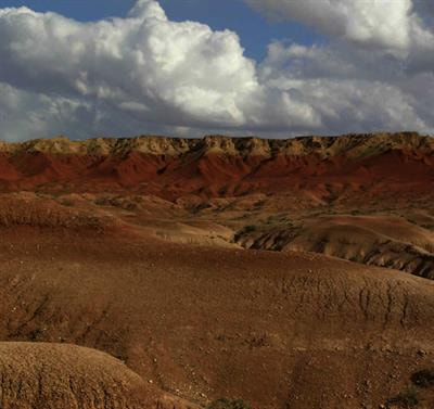 Cover image for research topic "Biotic Changes in Terrestrial Environments around the Eocene–Oligocene Transition"