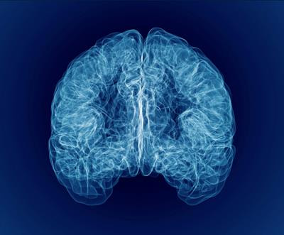 Cover image for research topic "Mechanisms Underlying the Interactions Between Stress and Pain"
