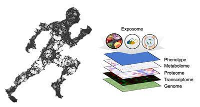 Cover image for research topic "OMICS-Based Approaches in Sports Research Volume II"