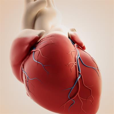 Cover image for research topic "Metabolic Alterations in Cardiopulmonary Vascular Dysfunction"