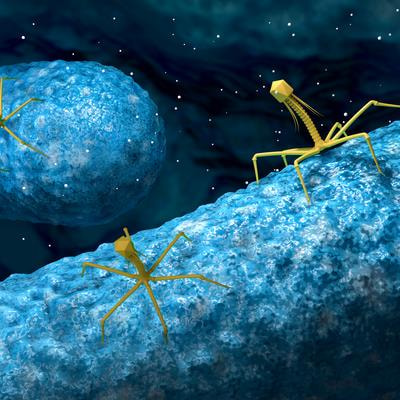 Cover image for research topic "Infections in the Intensive Care Unit"