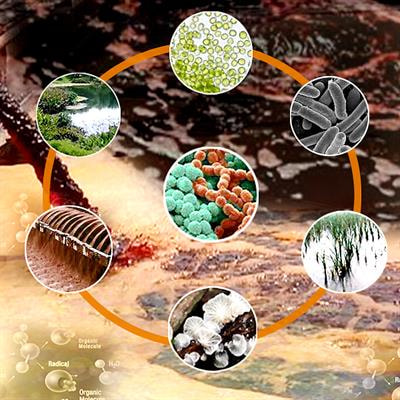 Cover image for research topic "Emerging Approaches for Sustainable Management for Wastewater"