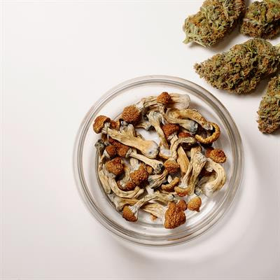 Cover image for research topic "Appropriateness and Safety of using Cannabinoid and Psychedelic Medicines as Treatments for Psychiatric Disorders"
