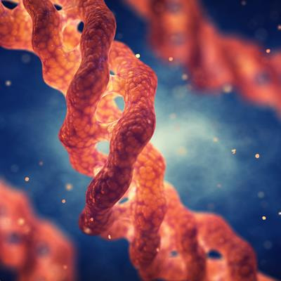 Cover image for research topic "Research Advances in Understanding the Etiology, Epidemiology, Pathophysiology, Clinical Features, and Management of the Ehlers Danlos Syndrome Disorders"