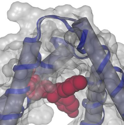 Cover image for research topic "Macromolecular Interactions as Drug Targets"