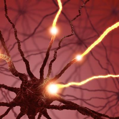 Cover image for research topic "Network of Pain Signaling: From Ion Channels to Brain"