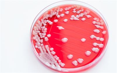 Cover image for research topic "Omics Techniques in Deciphering Environmental, Industrial and Therapeutic Applications of Microbes"
