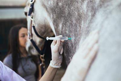Cover image for research topic "Foot-And-Mouth Disease Epidemiology, Vaccines and Vaccination: Moving Forward"