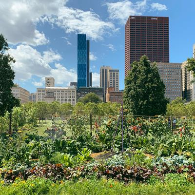 Cover image for research topic "Impacts of Urban Green Spaces on Environmental Perceptions and Social Life"