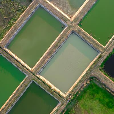 Cover image for research topic "Innovative Biotechnological & Microbiological Strategies for Efficient Wastewater Treatment & Organic Waste Valorization"