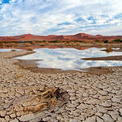Cover image for research topic "Climate Change Information for Regional Impact and Risk Assessment"