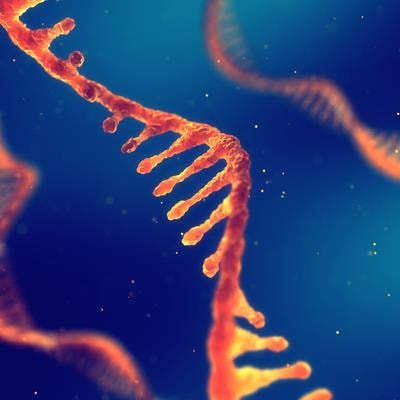 Cover image for research topic "Deciphering Transcriptional Dynamics in Plant Responses to Viruses"