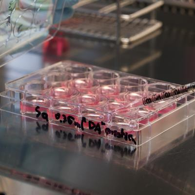 Cover image for research topic "The Social Implications of Cellular Agriculture and the Future of Food"