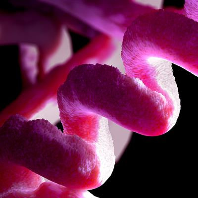 Cover image for research topic "Use of small peptides in the Treatment of Inflammatory Diseases"