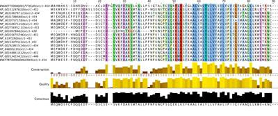 Cover image for research topic "Cells, signalling pathways and systems: Bioinformatics in Immunology"