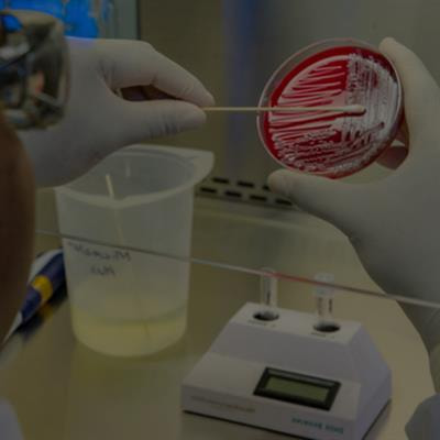 Cover image for research topic "Frontiers in Oral Health: Highlights in Oral Infections and Microbes 2021/2"