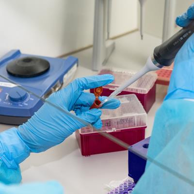 Cover image for research topic "Chemical Composition and Antimicrobial Activity of Essential Oils"