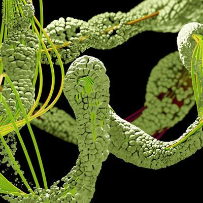 Cover image for research topic "Cereal Proteomics"