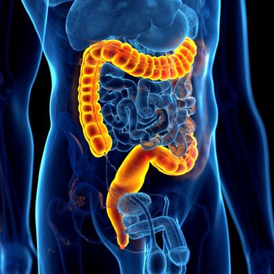 Cover image for research topic "Recent Advances and New Biomarkers in Ulcerative Colitis"
