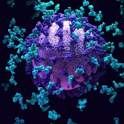 Cover image for research topic "Ethnopharmacological Responses to the Coronavirus Disease 2019 (COVID-19) Pandemic: Volume II"