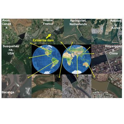 Cover image for research topic "Processes and Management of Altered Estuaries and Deltas in the Anthropocene"