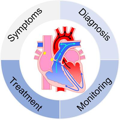 Cover image for research topic "Diagnosis, Monitoring, and Treatment of Heart Rhythm: New Insights and Novel Computational Methods"