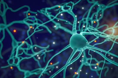 Cover image for research topic "Insights in Veterinary Neurology and Neurosurgery: 2022"