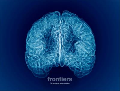 Cover image for research topic "Simultaneous EEG-fMRI Applications in Cognitive Neuroscience"
