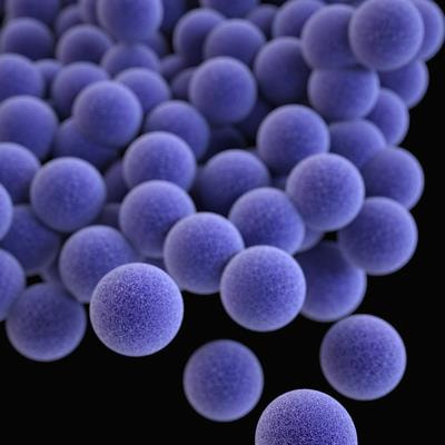 Cover image for research topic "Sepsis: Basic, Clinical and Therapeutic Approaches Volume II"