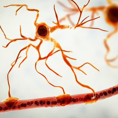 Cover image for research topic "Natural Products and Brain Energy Metabolism: Astrocytes in Neurodegenerative Diseases, Volume II"