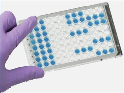 Cover image for research topic "Biomarkers of Alzheimer's disease: the present and the future"