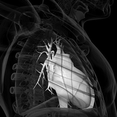 Cover image for research topic "Novel Biomarkers and Risk Factors Associated with Cardiometabolic Dysfunction in Heart Failure"