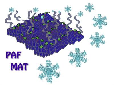 Cover image for research topic "Protein assemblies at the interface of functionalised materials
XYZ"