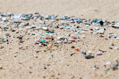 Cover image for research topic "Impact of Marine Debris on Marine Ecosystems and Organisms"