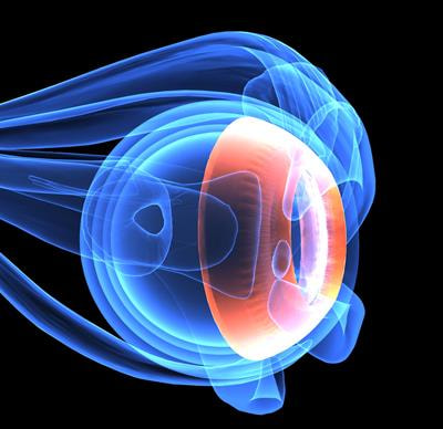 Cover image for research topic "Novel Therapeutic Approaches for the Treatment of Ocular Disease, Volume II"