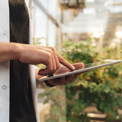Cover image for research topic "Plant Sensing and Computing - PlantComp 2022"