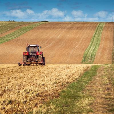 Cover image for research topic "Pollutants and Heat Treatment of Livestock Manure: Emission, Control, and Environmental Risk Assessment"