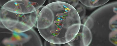 Cover image for research topic "Nanotechnology and Regenerative Medicine"