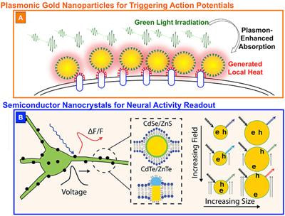 Cover image for research topic "Nanotechnologies in Neuroscience and Neuroengineering"