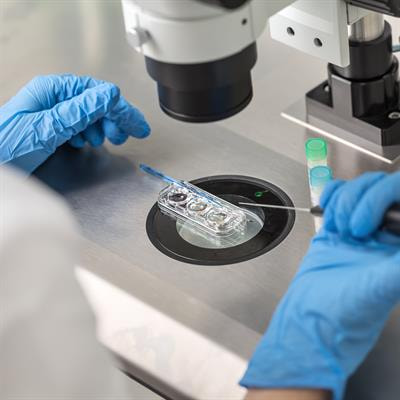 Cover image for research topic "Highlights in Assisted Reproduction 2021/22"