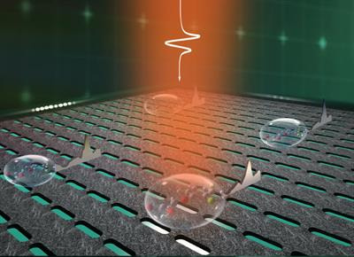 Cover image for research topic "Advanced Terahertz Spectrum and Metamaterials for Biochemical Sensing and Detection"