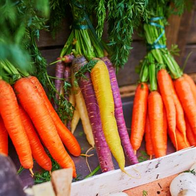 Cover image for research topic "Advances on Genomics and Genetics of Horticultural Crops and their Contribution to Breeding Efforts"