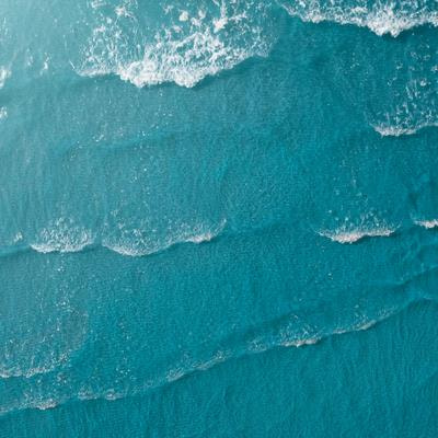 Cover image for research topic "Food Production Potential in the Changing Ocean"