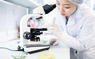 Cover image for research topic "Women in Food Microbiology: 2022"