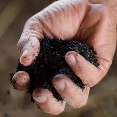 Cover image for research topic "Biochar from Forest Biomass as a Tool for Climate Change Mitigation and Degraded Soil Reclamation"