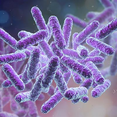 Cover image for research topic "The Role of Fatty Acids in Gut Health and Interactions with Gut Microbiota"