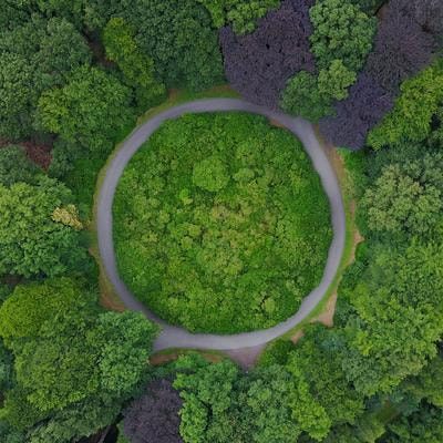 Cover image for research topic "Case Studies in Circular Economy"