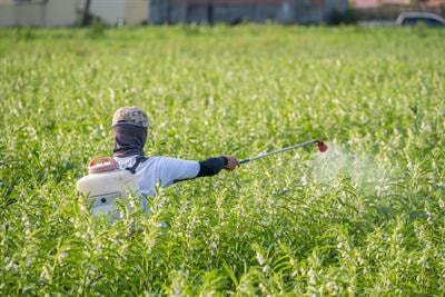 Cover image for research topic "Natural Phytochemicals To Enhance Animal Productivity And Health Status With Low Greenhouse Gas Emissions"