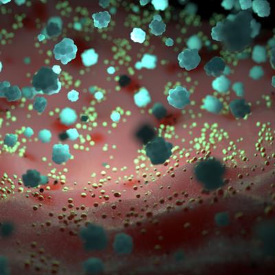 Cover image for research topic "Environmental Influences on the Host-associated Microbiomes"
